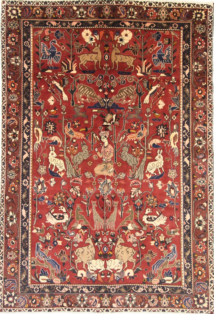 BAKHTIAR 204*302