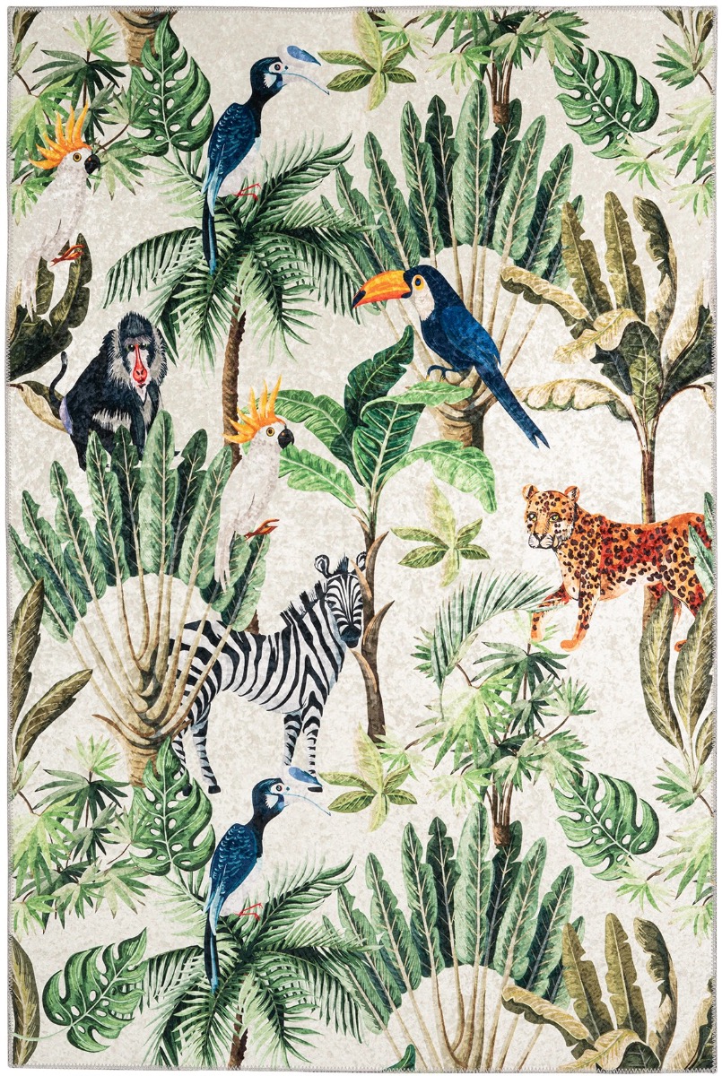 EXOTIC 160*230 213 MULTI